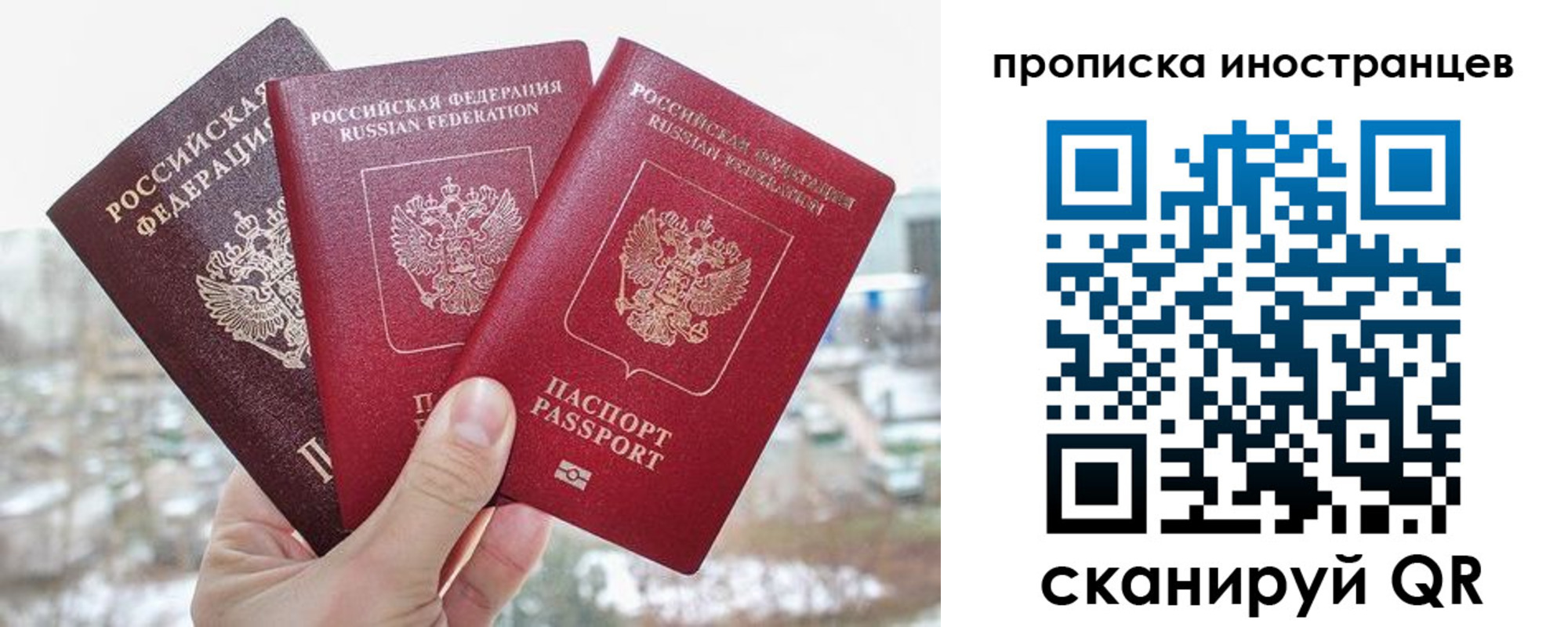 временная регистрация поиск в Пущино